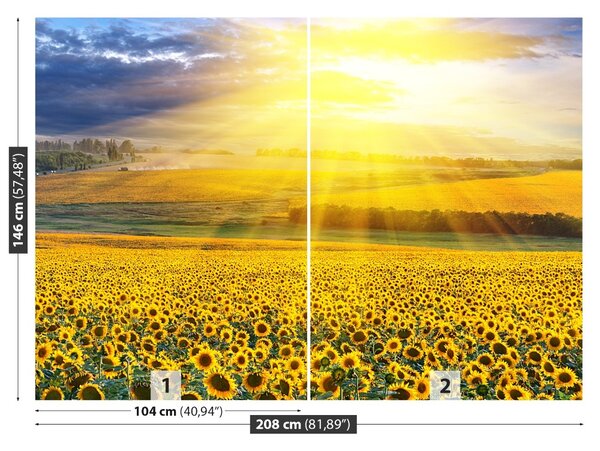 Fototapet Domeniu de Sunflowers