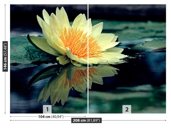 Fototapet Floare de lotus