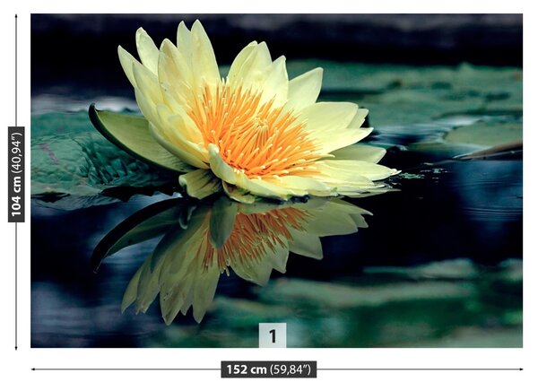 Fototapet Floare de lotus