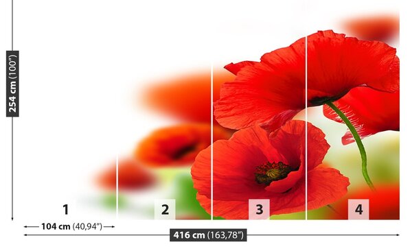 Fototapet maci alb