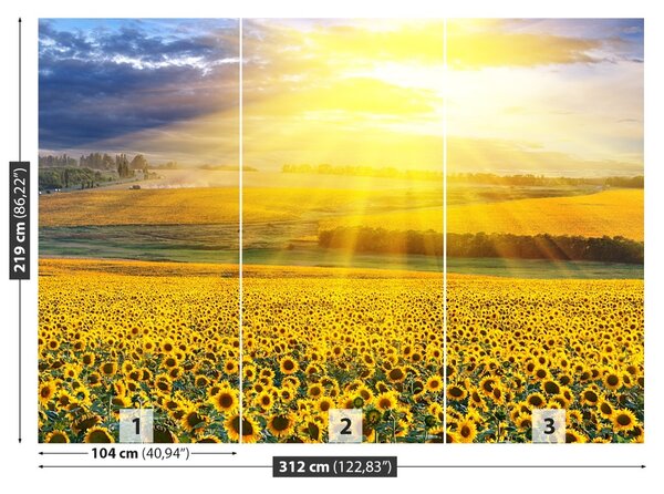 Fototapet Domeniu de Sunflowers
