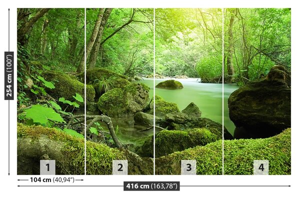 Fototapet River Forest