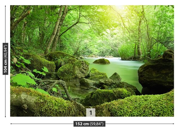 Fototapet River Forest
