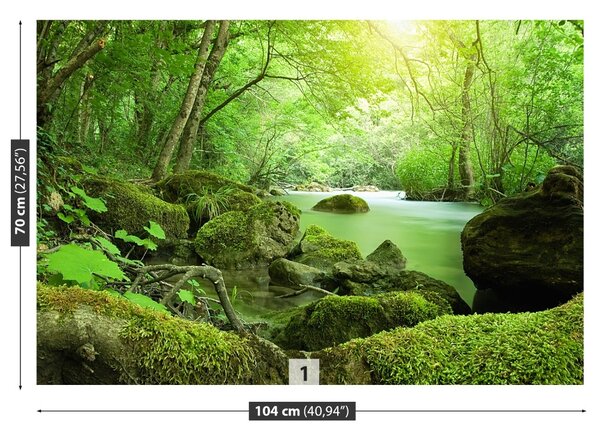 Fototapet River Forest