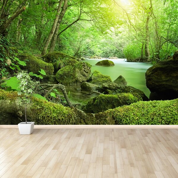 Fototapet River Forest