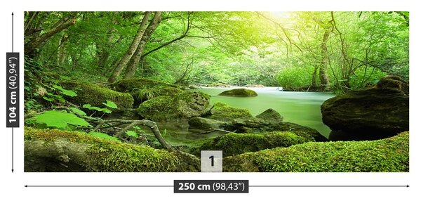 Fototapet River Forest