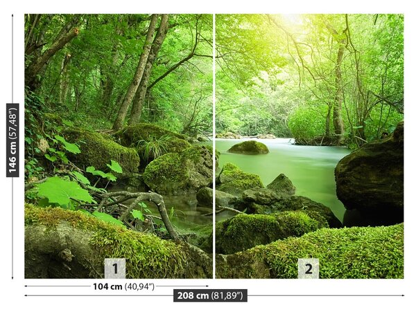 Fototapet River Forest