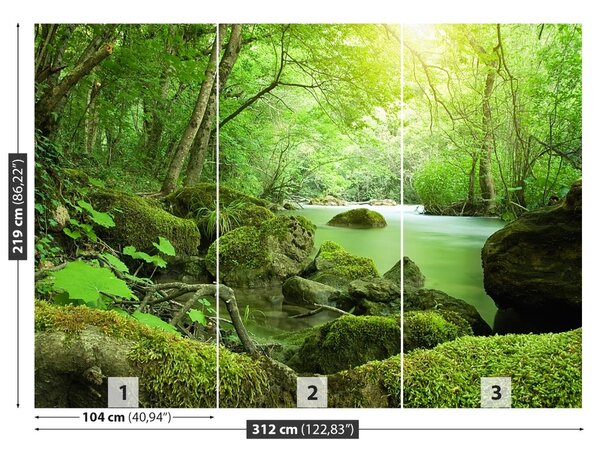 Fototapet River Forest