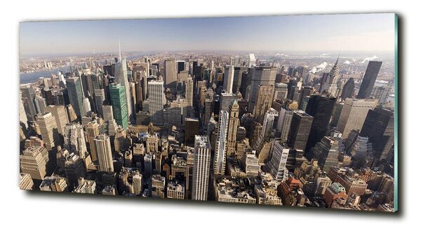 Tablou din Sticlă New York pasăre de zbor