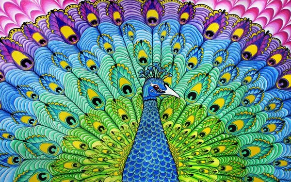 Colorful Peacock tablou canvas pentru camera copilului
