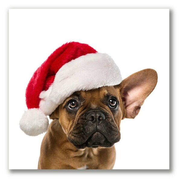 Tablou pe panza canvas Bulldog Christmas Dog