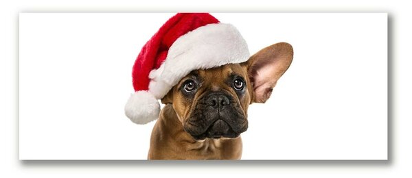 Tablou pe panza canvas Bulldog Christmas Dog