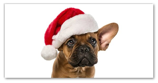 Tablou pe panza canvas Bulldog Christmas Dog