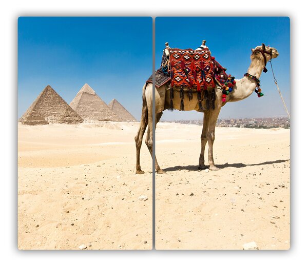 Tocator din sticla Camel în cairo