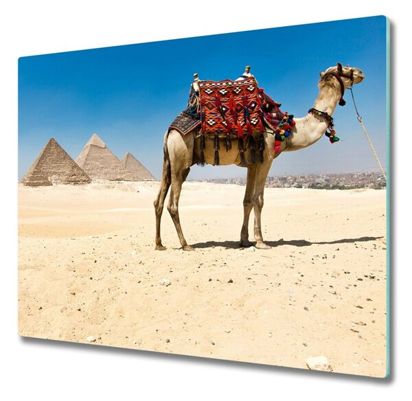 Tocator din sticla Camel în cairo