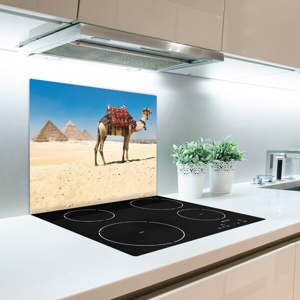 Tocator din sticla Camel în cairo