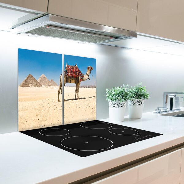 Tocator din sticla Camel în cairo