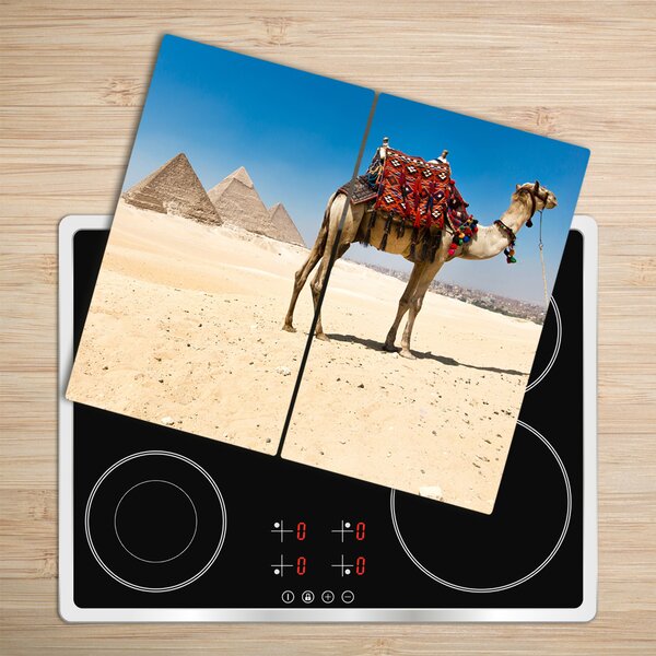 Tocator din sticla Camel în cairo