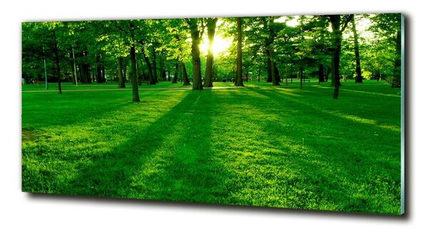 Tablou Printat Pe Sticlă Iarba în parc