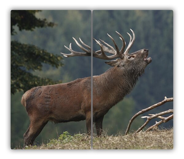 Tocator din sticla Deer pe deal