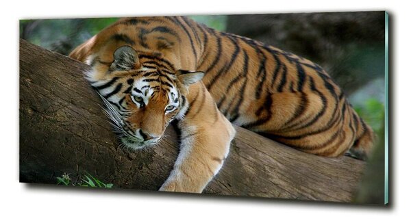 Imagine de sticlă Tiger pe un copac
