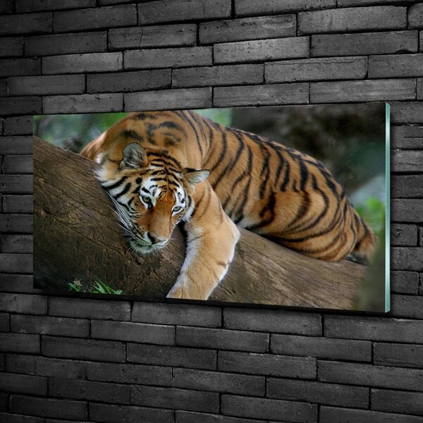Imagine de sticlă Tiger pe un copac