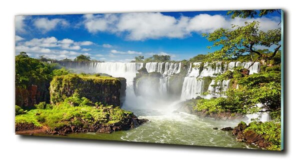 Tablou sticlă cascada Argentina