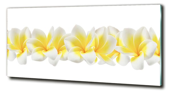 Tablou din Sticlă plumeria