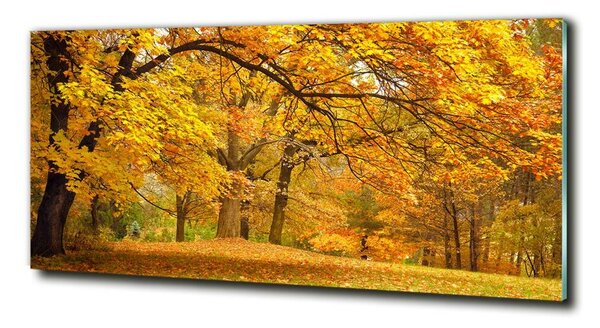 Tablou din Sticlă Toamna în parc