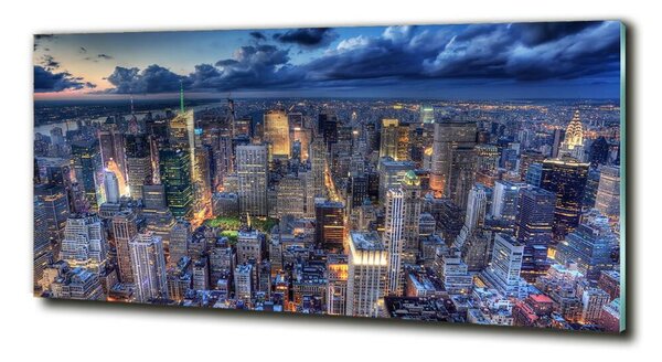 Tablou sticlă New York pasăre de zbor
