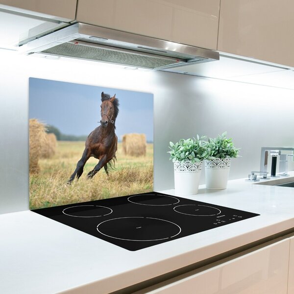 Tocator din sticla galop de cai
