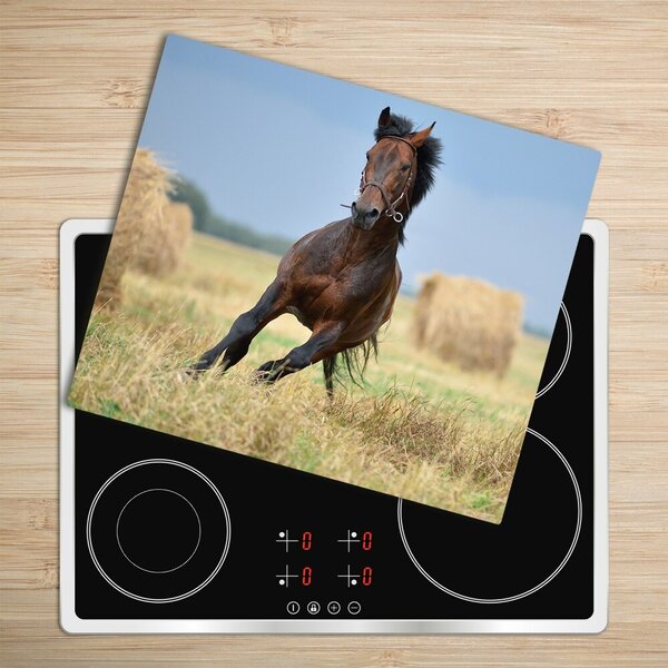 Tocator din sticla galop de cai