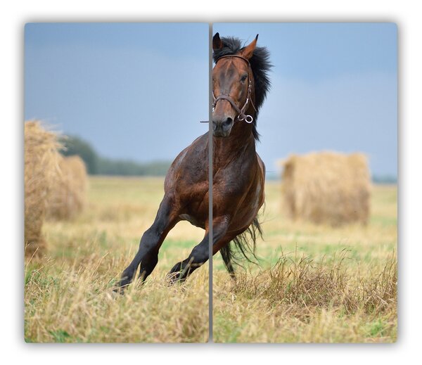 Tocator din sticla galop de cai