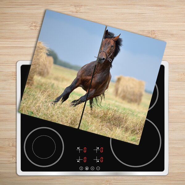 Tocator din sticla galop de cai