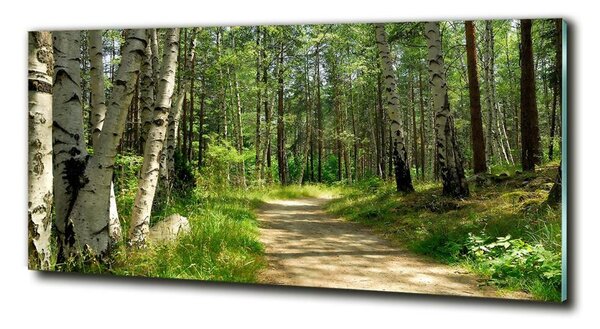 Imagine de sticlă Calea în pădure