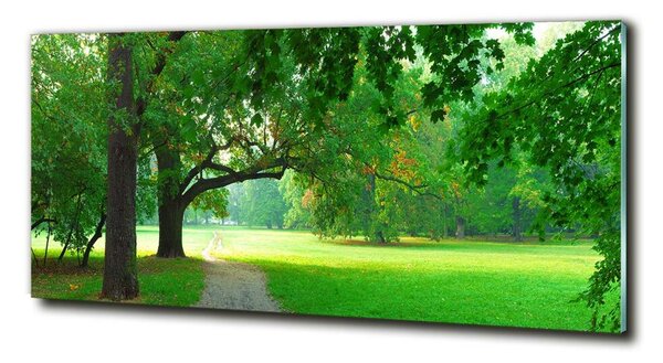Fotografie imprimată pe sticlă Park din toamna