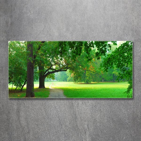 Fotografie imprimată pe sticlă Park din toamna