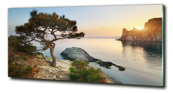 Fotografie imprimată pe sticlă Arborele de mare