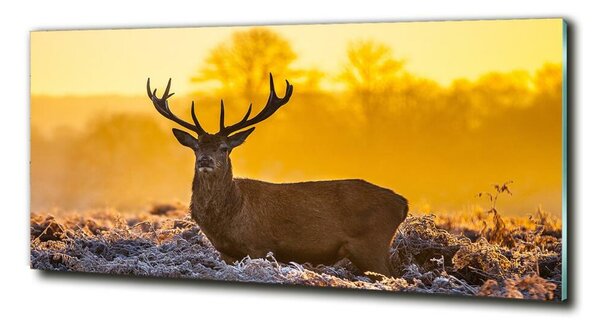 Imagine de sticlă Sunrise Deer
