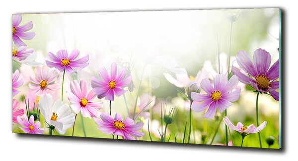 Fotografie imprimată pe sticlă Flori în lunca