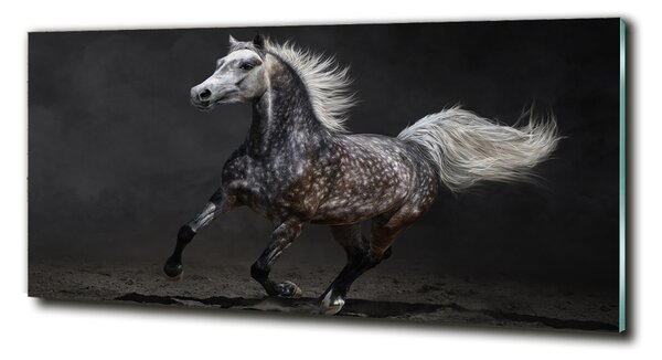 Tablou sticlă cal arab Gray