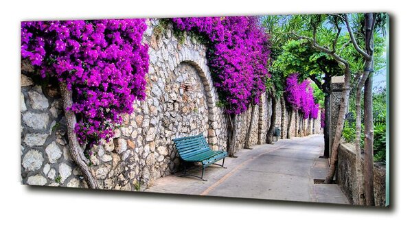 Fotografie imprimată pe sticlă străzi fermecătoare