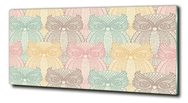 Tablou Printat Pe Sticlă Owls