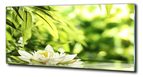 Fotografie imprimată pe sticlă nufăr