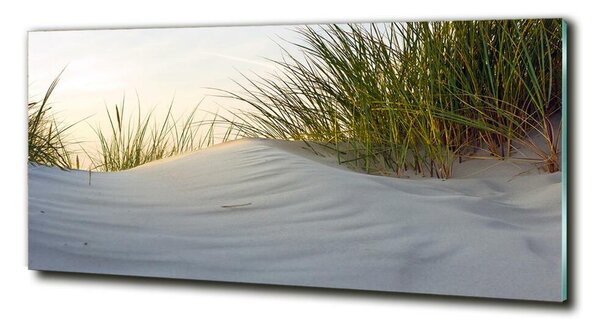 Fotografie imprimată pe sticlă dune de coastă