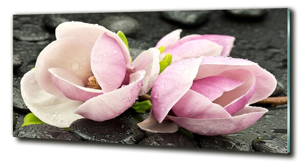 Fotografie imprimată pe sticlă Magnolia Zen Piatra