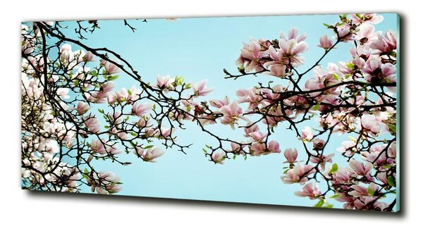 Tablou din Sticlă flori magnolia