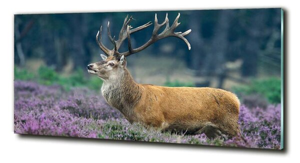 Tablou din Sticlă Deer de lavandă