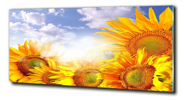 Tablou Printat Pe Sticlă Floarea soarelui