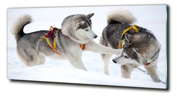 Imagine de sticlă iarna Husky